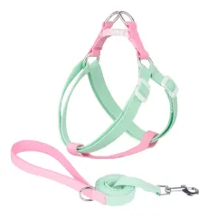 Macaron Traction Dog Rope Small And Medium Sized Pets - Set Green Pink - View 1