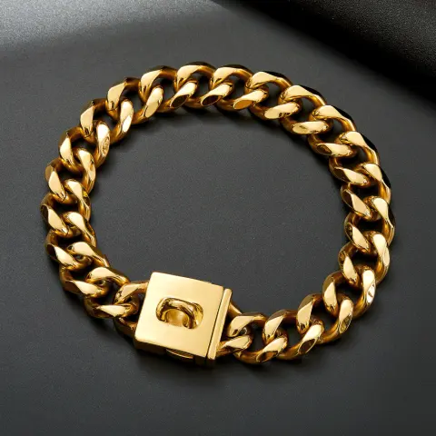 Stainless Steel Gold and Silver Buckle Pet Dog Necklace