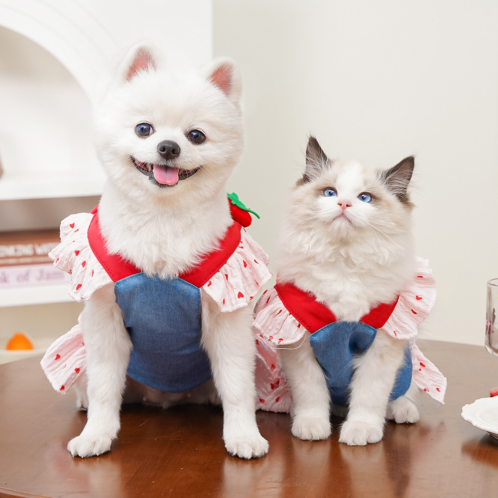 Harness Pet Dog And Cat Clothing detail photo 3