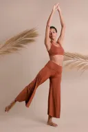 Amber-L