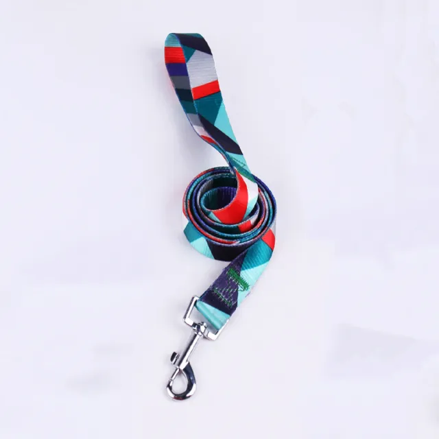 Hand Holding Rope Outing Dog Leash Dog Collar Three piece Set Blue And Red Single Handle - Shop at LoveMi