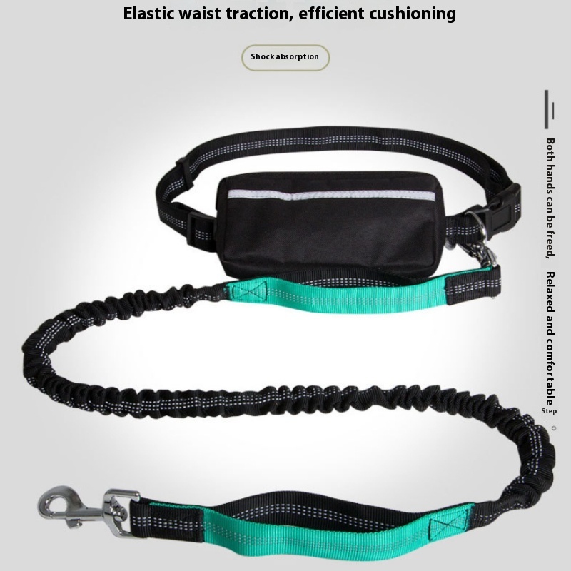 Hand holding leash best sale