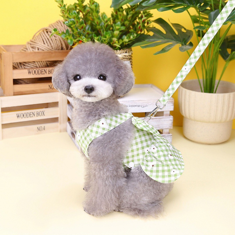 Spring And Summer New Chrysanthemum Plaid Pet Traction Buckle Clothes