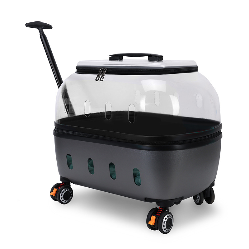 https://cf.cjdropshipping.com/quick/product/895c227c-e606-4cc3-ba33-7f6f7276da79.jpg