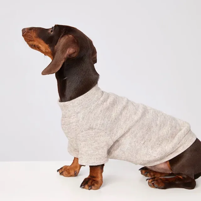 Cold proof Handsome Pet Cat Dog Clothes Maillard Color - Shop at LoveMi