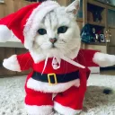 571 Christmas