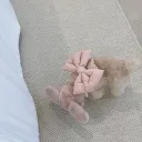 Peach Pink Suit