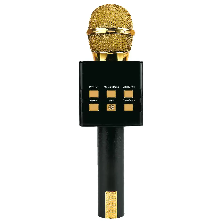 Handheld All-in-one Home Audio System Wireless Bluetooth Condenser Microphone