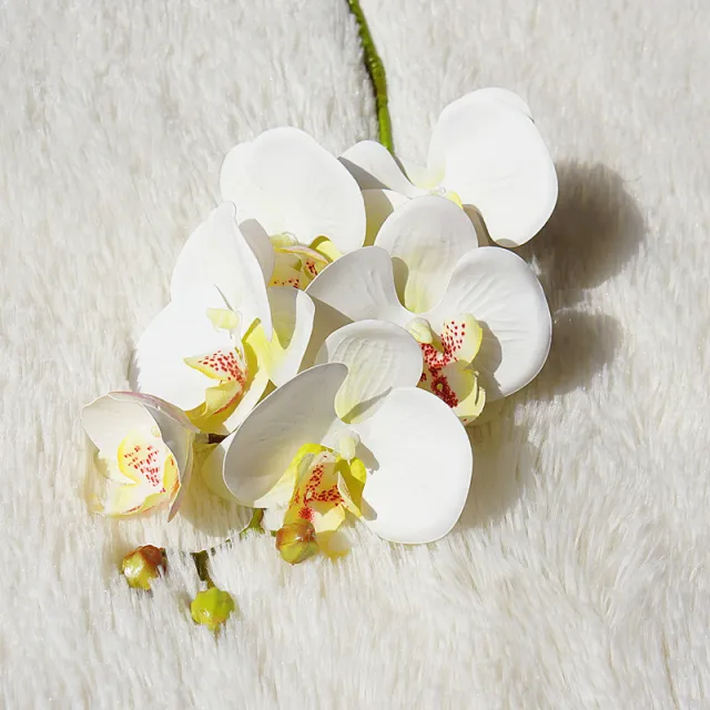 Artificial Phalaenopsis Artificialfake Soft Decoration Wall Decorative Plant Flower Floral White - Shop at LoveMi