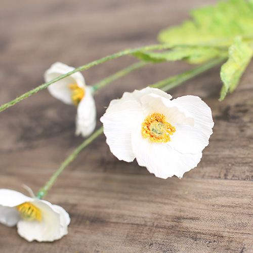 3 Flowers And 1 Bud White