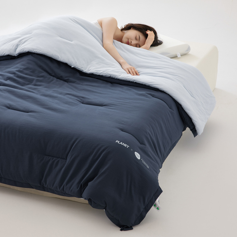 Autumn Winter Warm Double-Layer Duvet Insert