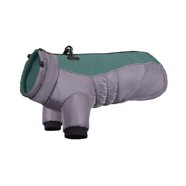 Autumn And Winter New Thickened Warm Dog Cotton padded Clothes Two Feet Apparel Maltese Green - Shop at LoveMi