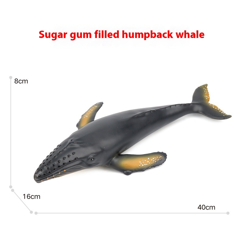 Humpback Whale