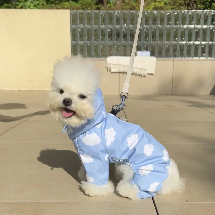 Waterproof Full-Covering Rain Poncho