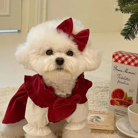 Dog Clothes Red Formal Dress Outfit