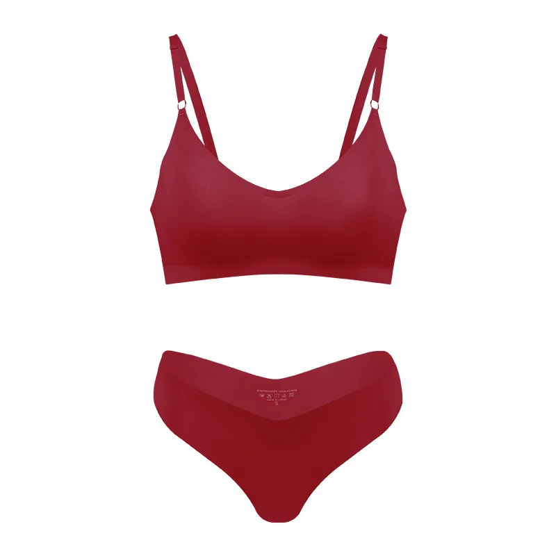 Women's V-neck Breathable Underwear Bra Panties Set - Wine