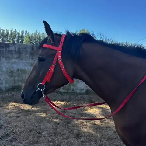 Horse Halter Rope Riding Hose Bridle Fiber
