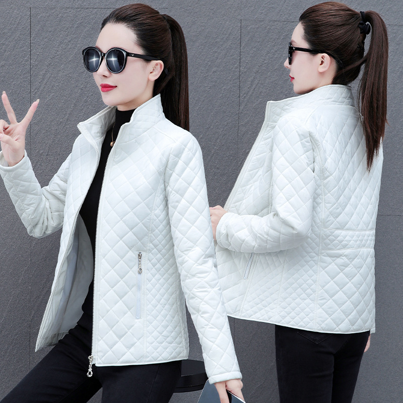 https://cf.cjdropshipping.com/quick/product/8dbd153a-951c-4866-8790-5f035fcb059c.jpg