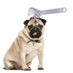 Dog Cat Headgear Dress Up Trick Props Dress Up - Wrench - View 1