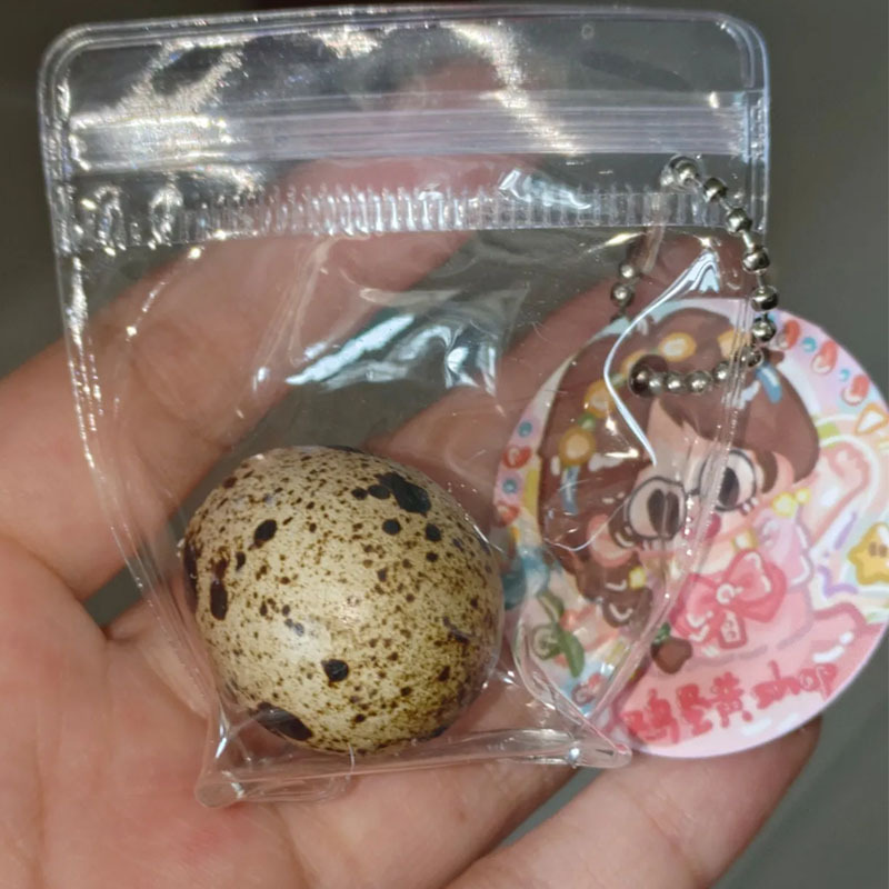 Complete Quail Egg