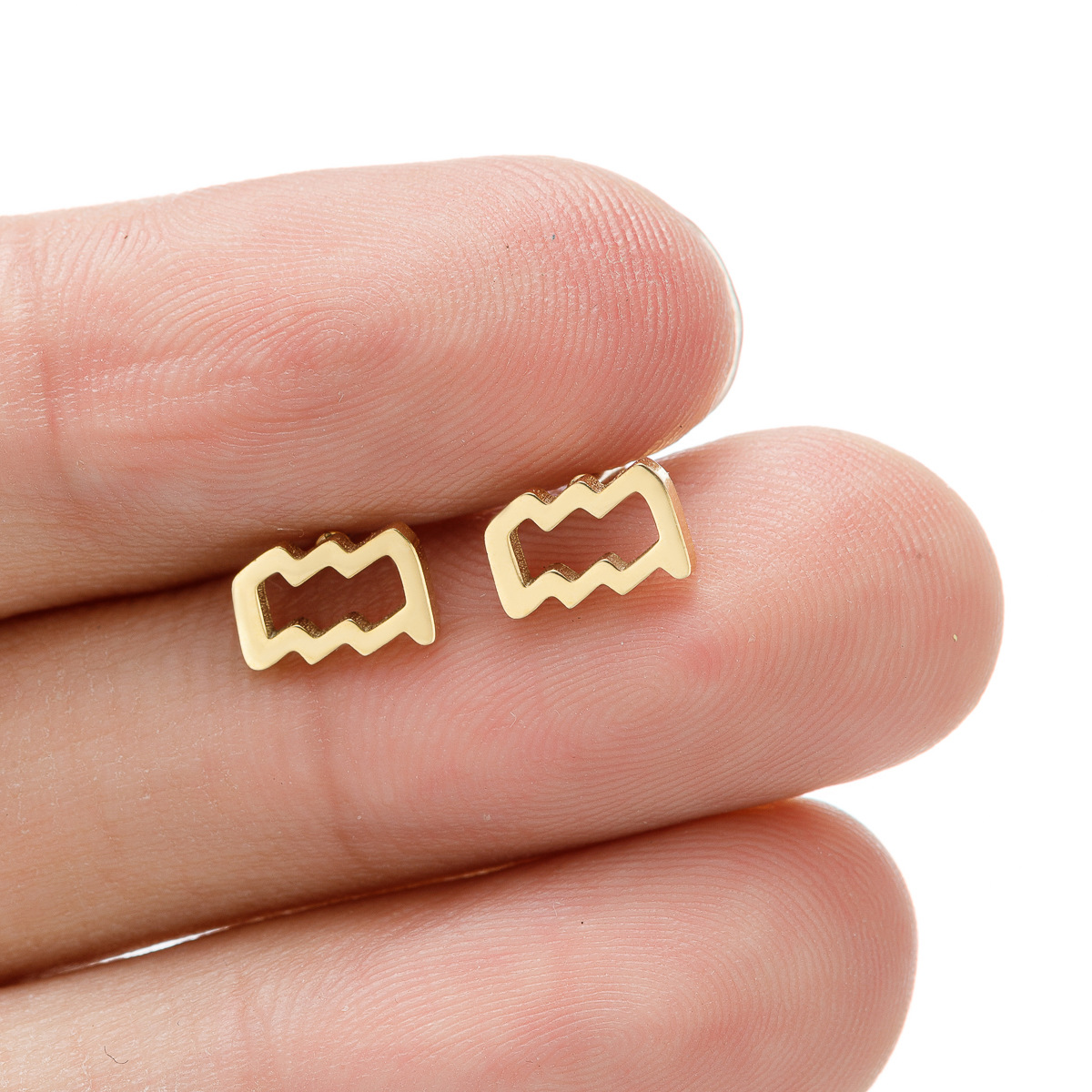 Fashion Stainless Steel Twelve Constellation Stud Earrings
