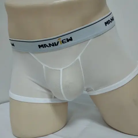 Transparent Mesh Sexy Boxer Men