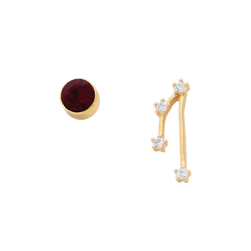 Silver Needle 12 Constellation Birthstone Asymmetric Ear Studs