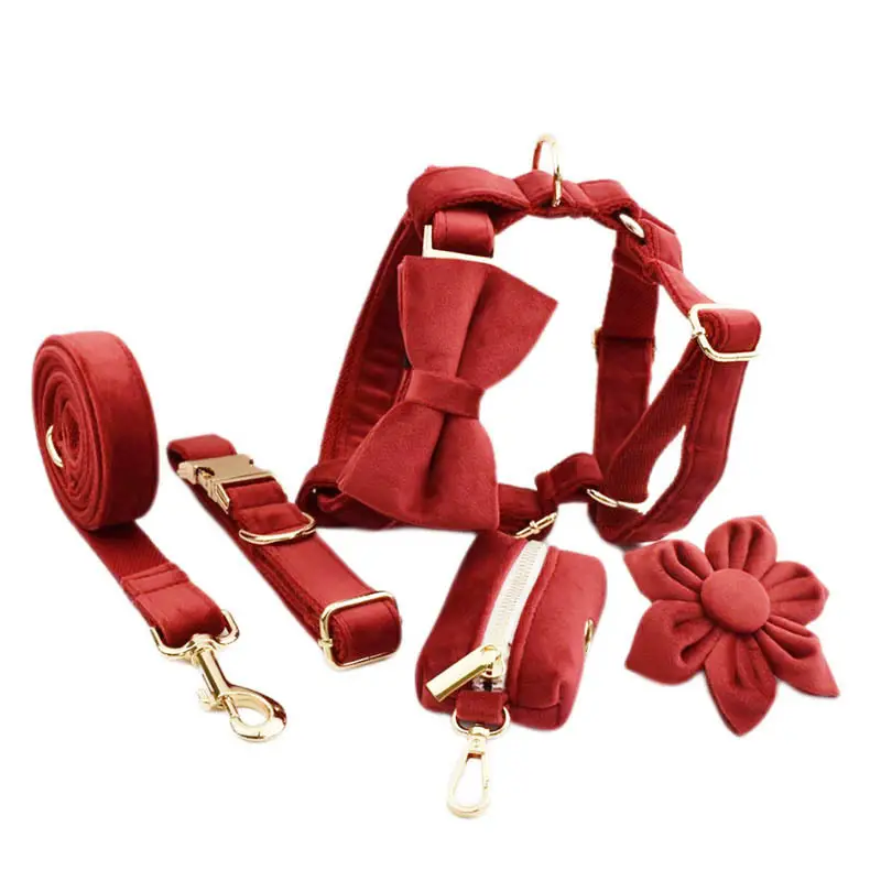 Dog Collar Pet Traction