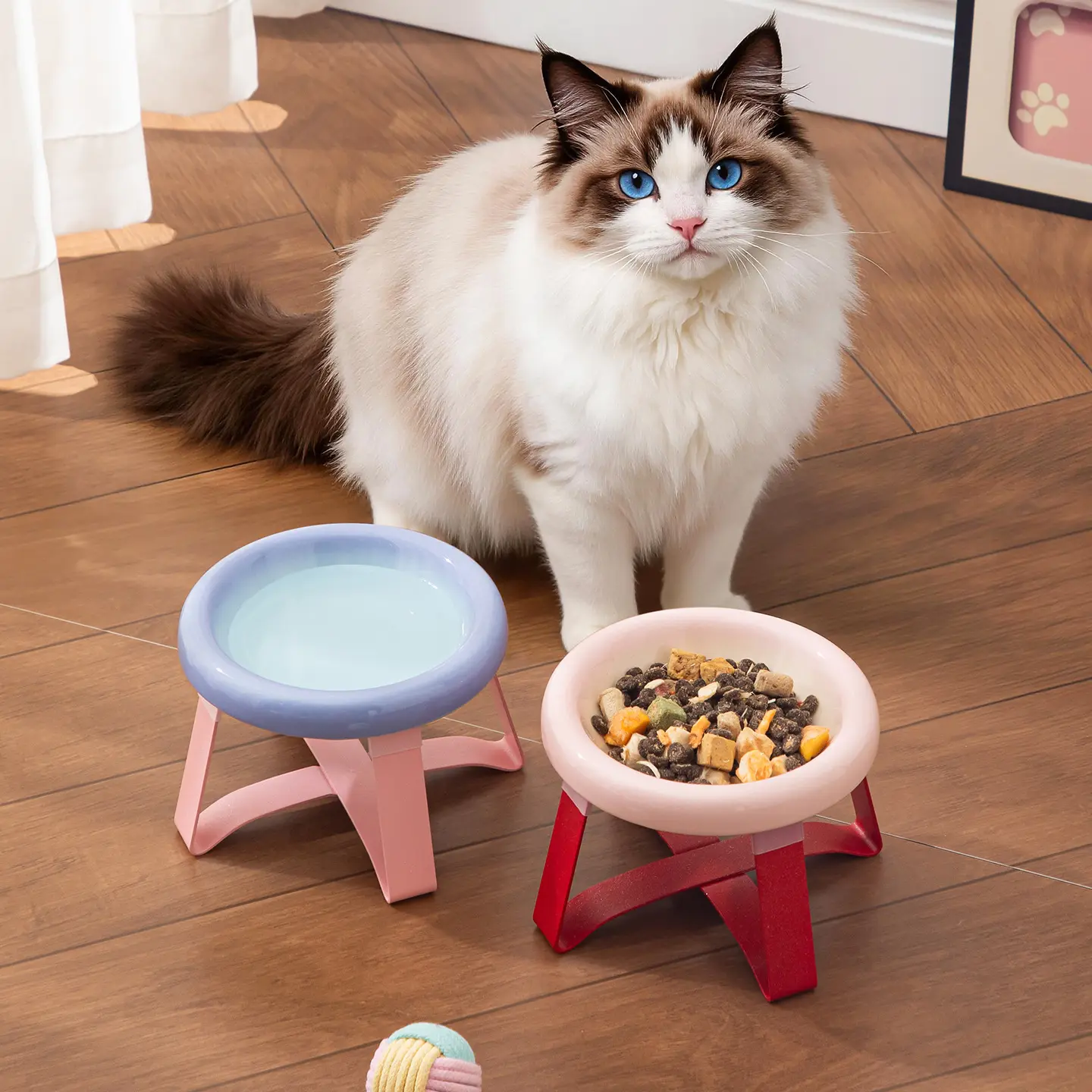 Candy-colored Ceramic Pet Bowl