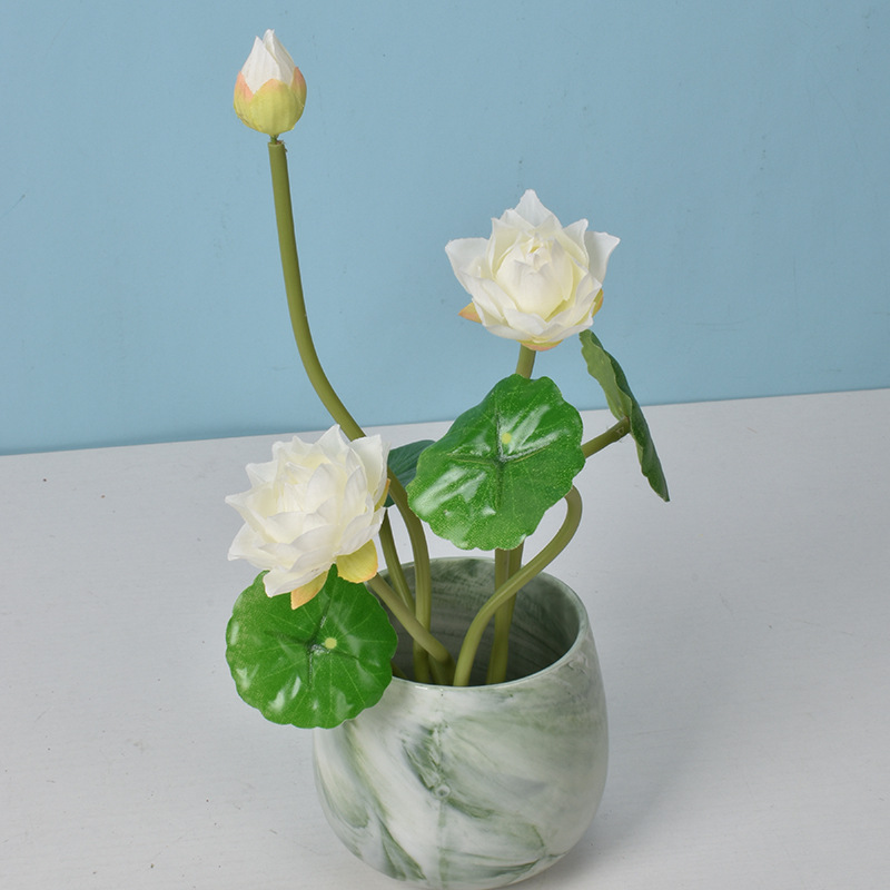 Small Lotus White