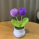 3 Pink Tulip Potted Plants