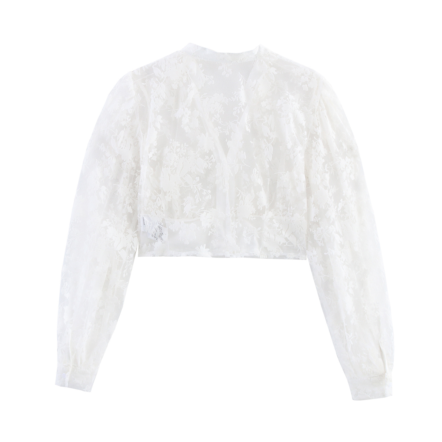 Sheer Mesh Flocking Short Long Sleeve Shirt