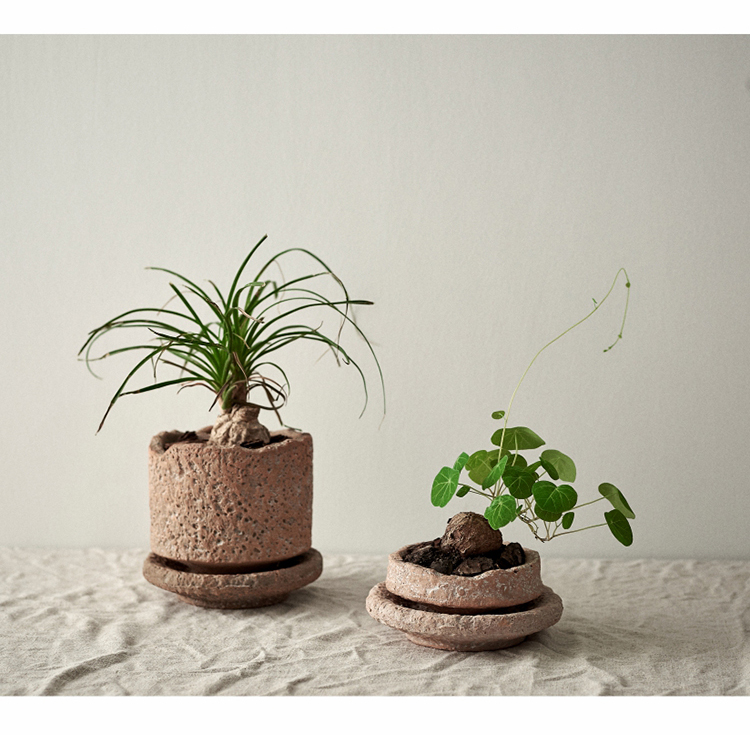 Ceramic Flowerpot, Small, picture 3 of 6
