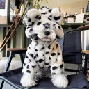 Tiger Fur White
