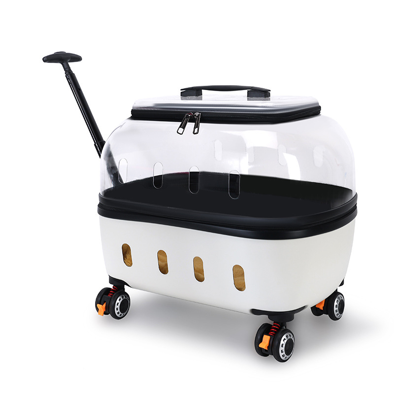 https://cf.cjdropshipping.com/quick/product/91314325-0a33-49a5-a826-544187c1e9e3.jpg