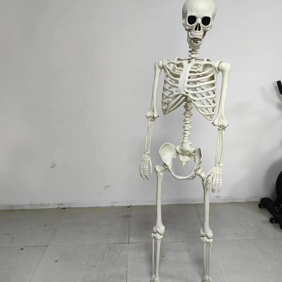 Adjustable Joint Halloween Horror Skull Ornament