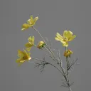 Bright Yellow