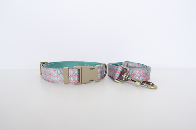 Pet Training Collar And Leash Set detail photo 1