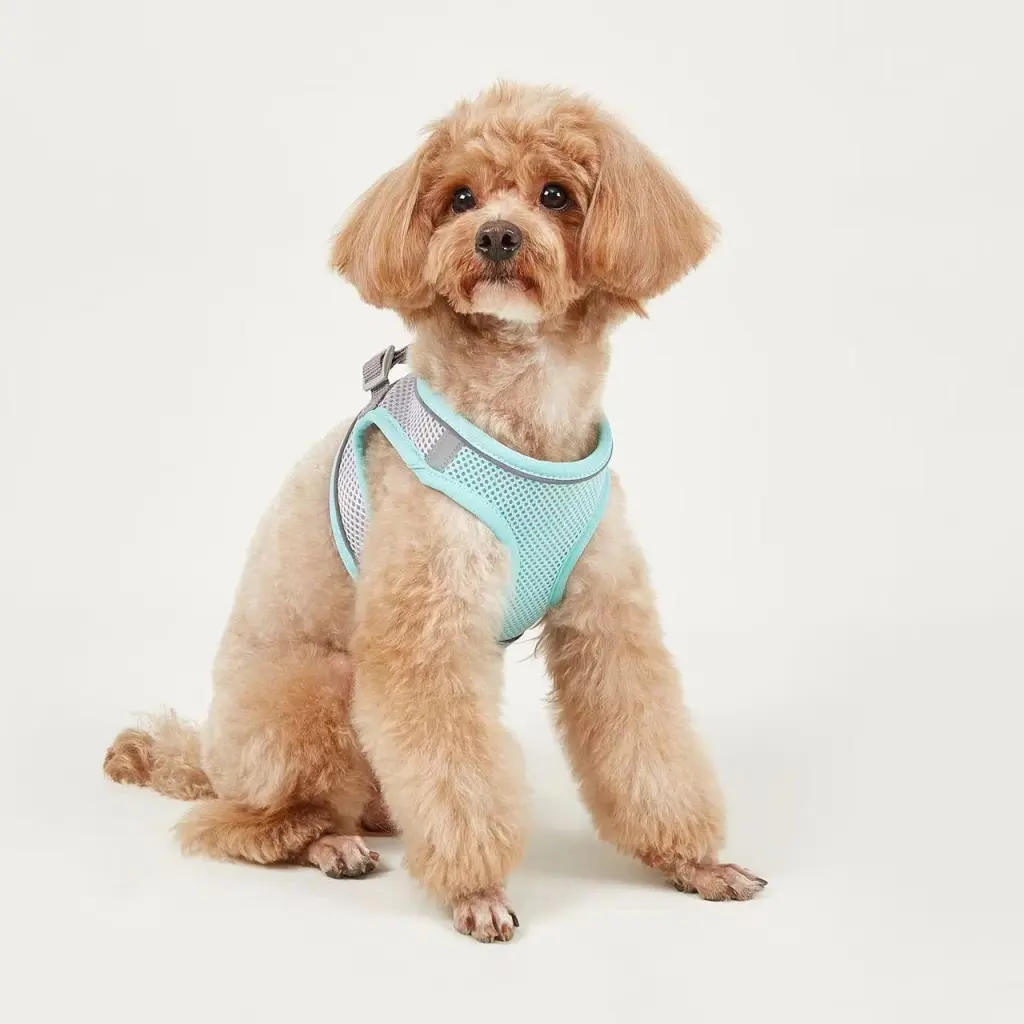 Dog Hand Holding Rope Vest Small Dog Dog Leash Teddy Bichon Breathable Chest Strap Pomeranian Puppy Small Dog Leash - Style6