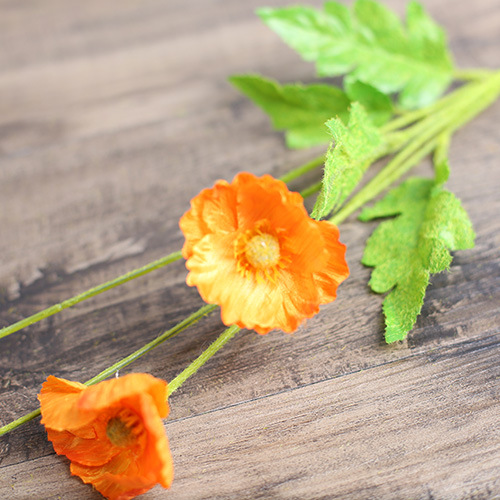 3 Flowers And 1 Bud Orange