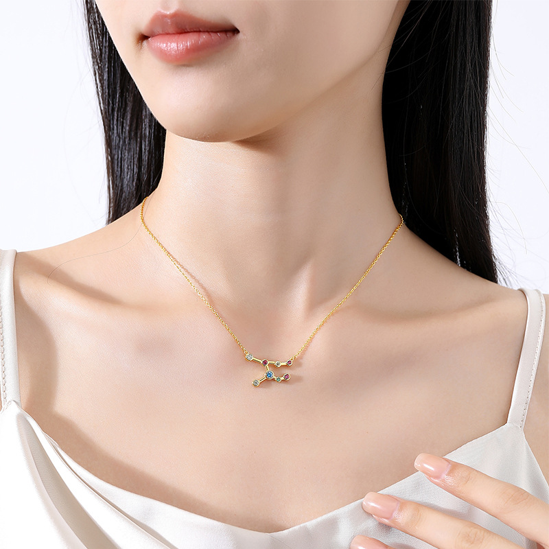 S925 Sterling Silver Twelve Constellation Zircon Necklace For Women