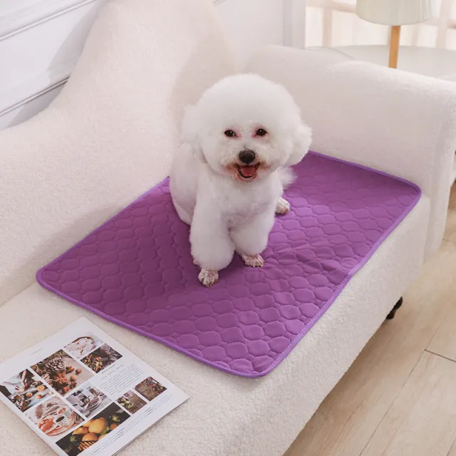 Urinal Pad For Pet Washable Dog Diapers Non slip Absorbent Easy To Dry Purple - Shop at LoveMi