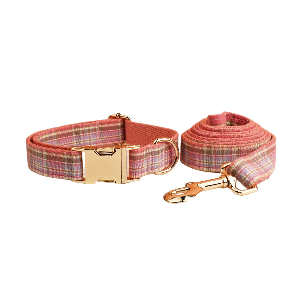 Dog Collar And Dog Leash