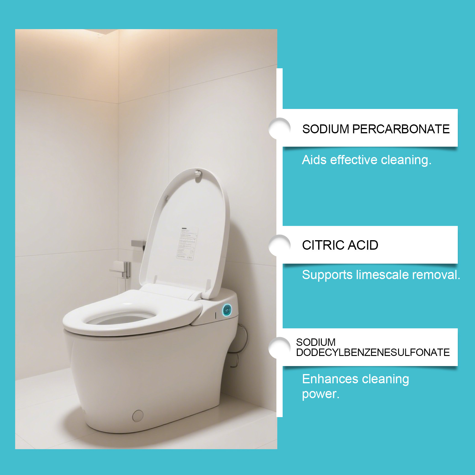 Toilet Cleaning Plate