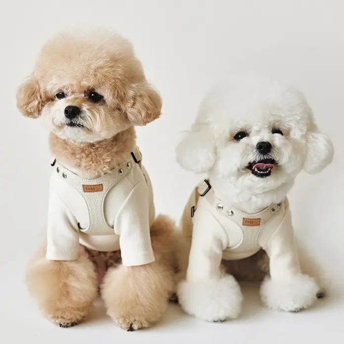 Pet Dog Leash TeddyBichon Outdoor Chest Harness