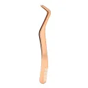 Electrophoresis Rose Gold