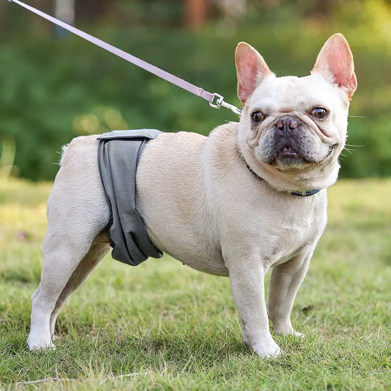 Sterilization Menstrual Panties Anti-harassment Male Dog Diaper