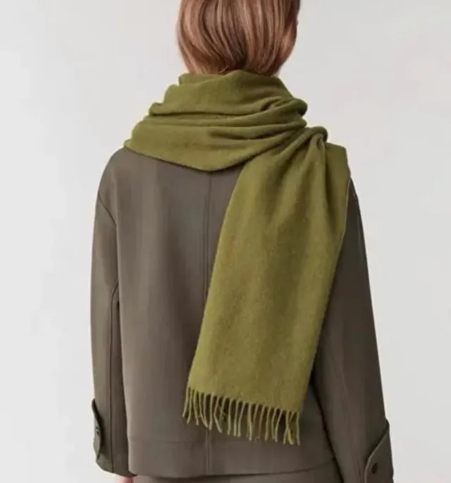 Simple Solid Color Tassel Shawl Autumn And Winter Warm Artificial Cashmere Scarf Fashionable Green - Shop at LoveMi