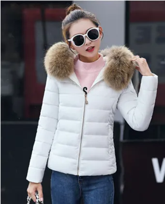 Women's Cotton padded Coat Plus Size Short Fur Collar Slim Quilted Coat White - Shop at LoveMi