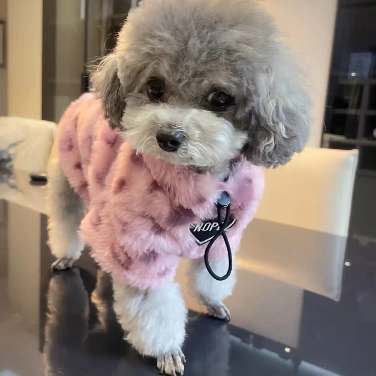 Puppy Clothes Thermal Extra Thick